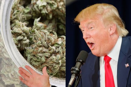 特朗普当选总统后，大麻或将成为下一个亿万级市场 