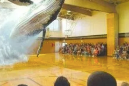 迟迟没有产品Magic Leap,为何吸引巨头持续“输血”？