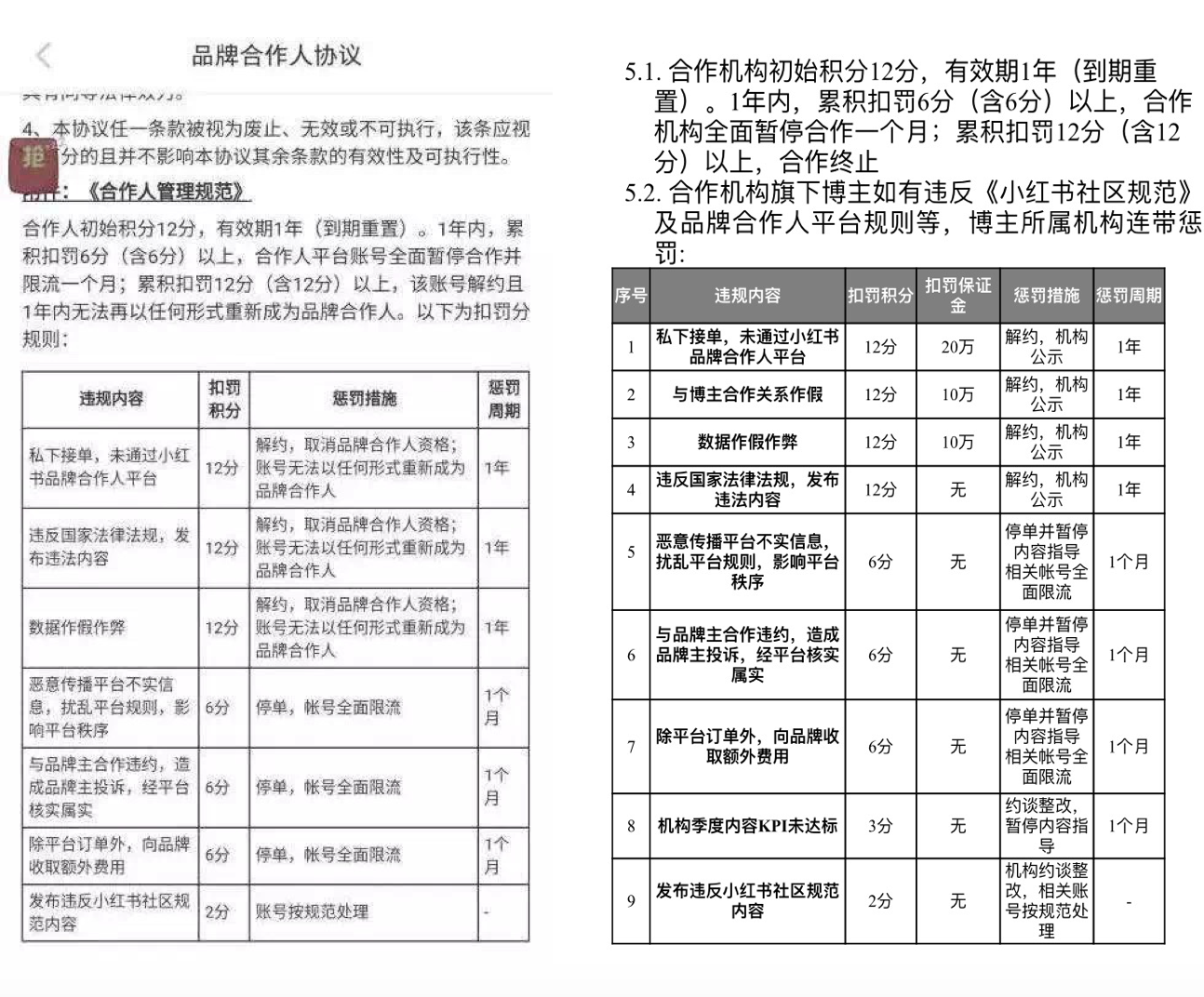 焦点分析丨小红书“断臂”求变