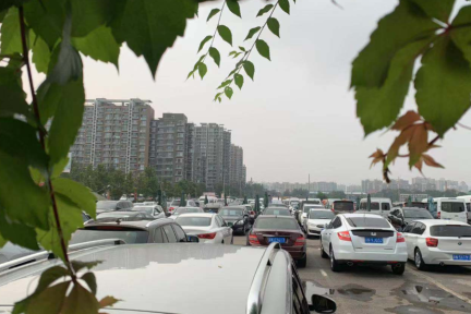 中国汽车流通协会：大部分经销商认为车市会在5月恢复正常