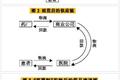 【寻找下一个金矿9】都想让医保出钱，但减少花钱的事也许才挣钱