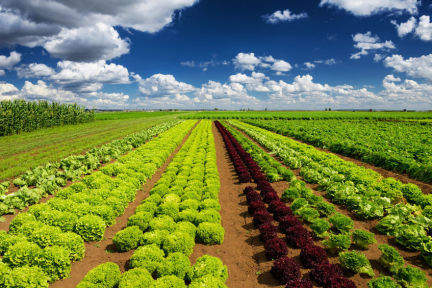 传统产业升级在即，以色列公司进军农业科技市场 | 中以科技创新投资大会