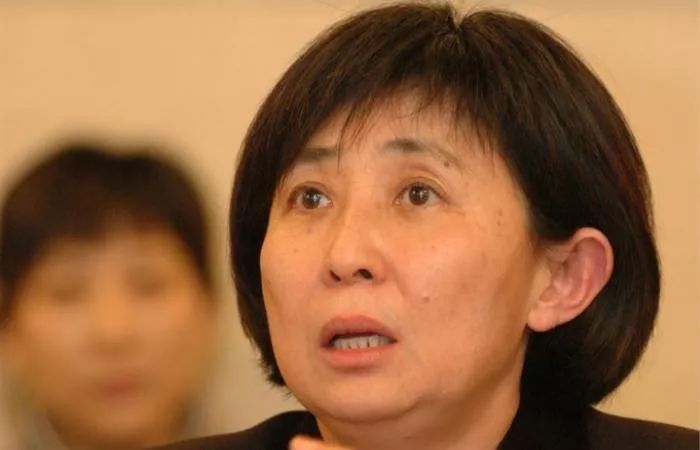 中国式独董养成记
