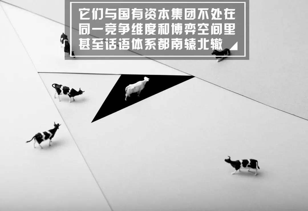 吴晓波：民营经济与“新半壁江山”