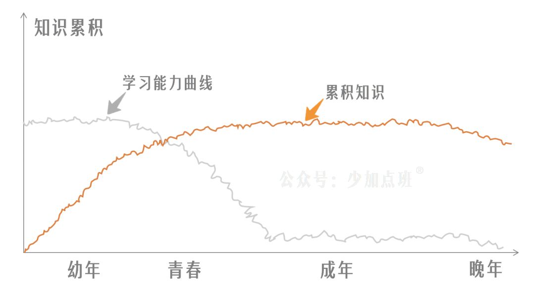 自毁简史：对一切“学习问题”来一次总清算