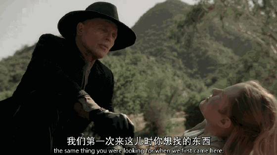 假如《西部世界》开业了，哪些因素会吸引你去参观？