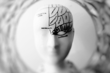 十分好读 | 《基因魔盒》：用计算机代码模拟大脑，人类就能永生？