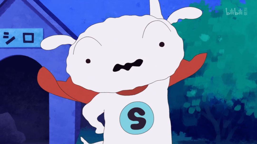 蜡笔小新冷知识 小白是什么品种的狗 小新在现实中有真人原型