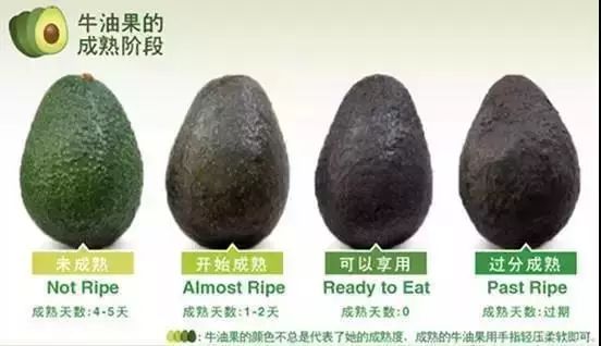 7年销量暴涨160000倍，牛油果疯了？