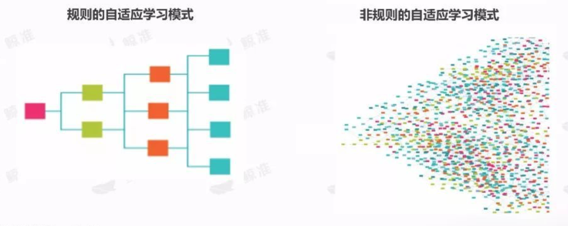 自适应教育：原理、落地流程与迭代