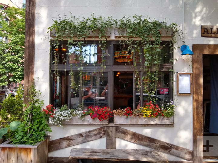 Moto G6 vs 诺基亚 6.1：两大性价比神机相机评测