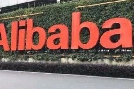 阿里巴巴作为最大股东发起成立数字海南公司：业务含大数据、金融信息服务