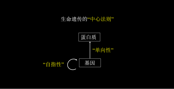 如何让公司和个人的使命同频？