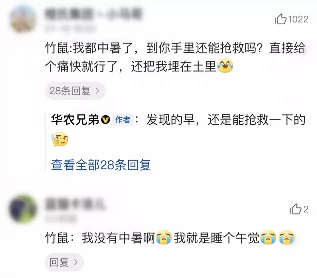 视频时代的疯传法则：《科尼2012》、华农兄弟……13个案例教你打造爆款