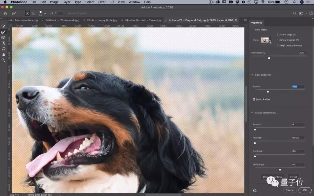 Adobe最新的AI抠图算法：一键抠出细密发丝，即将上线Photoshop 2020