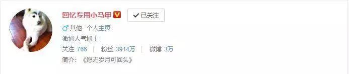 宠物博主背后的生意经
