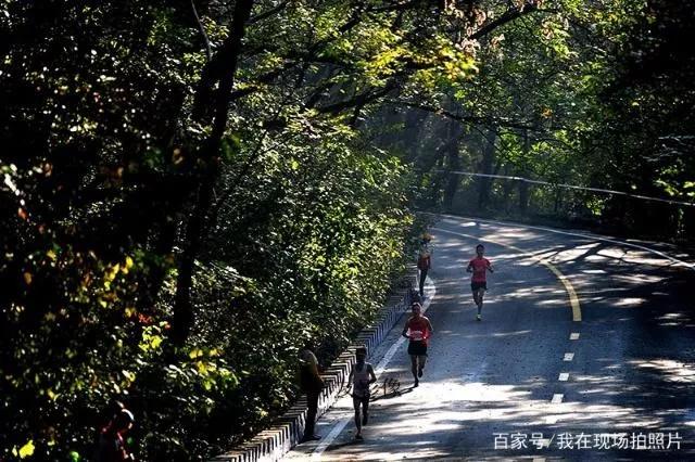 【南京创新周】为什么南京适合跑「马拉松」？
