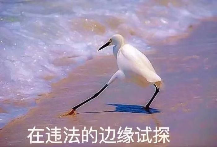 汽车交易暴利内幕，用户信息被花式倒卖