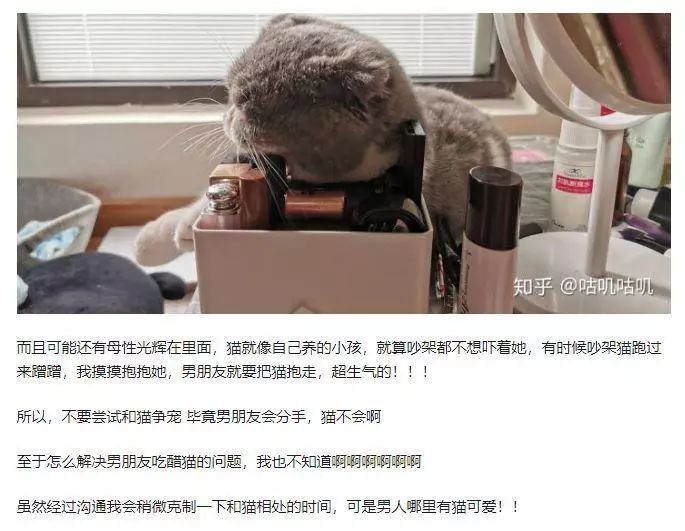 宠物博主背后的生意经