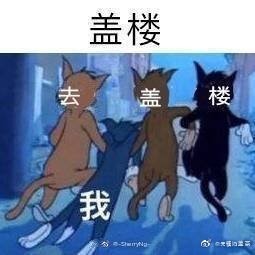 盖楼心理学：因为好胜心，但又不只是好胜心