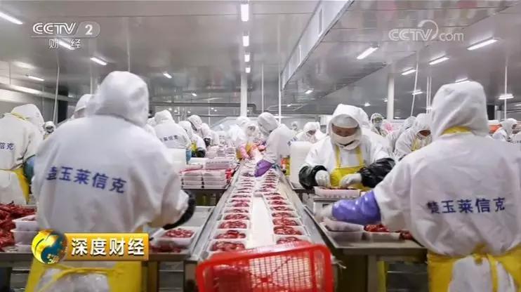 中国小龙虾打入世界杯，年薪60万的品虾师为何“难寻”？