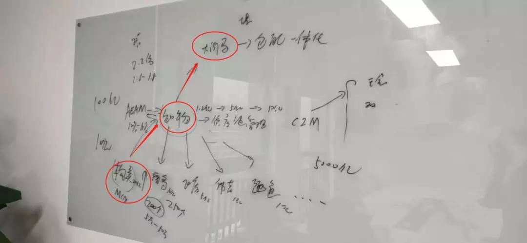 双十一的淘宝直播大战：主播迭代、基地生死、品牌浮沉（上篇）