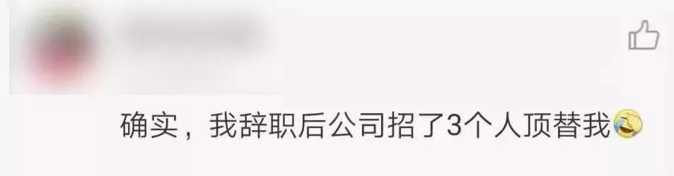 papi酱工作一天裸辞：你看到了洒脱，我只觉得残酷