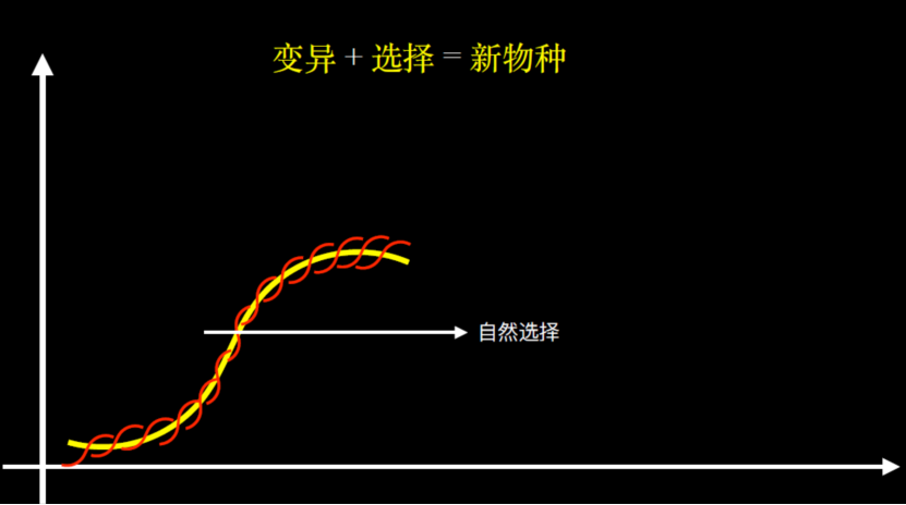 “今日头条”的生物学思维