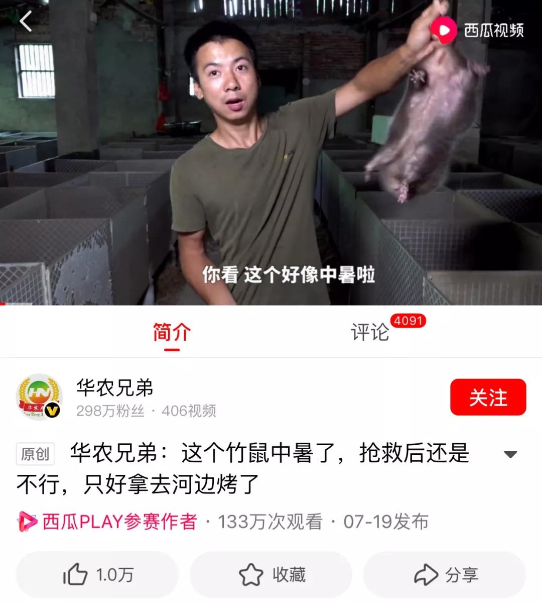 视频时代的疯传法则：《科尼2012》、华农兄弟……13个案例教你打造爆款