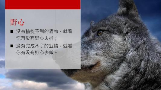 华尔街蠢狼做空爱奇艺，不管跟谁学都没有好未来