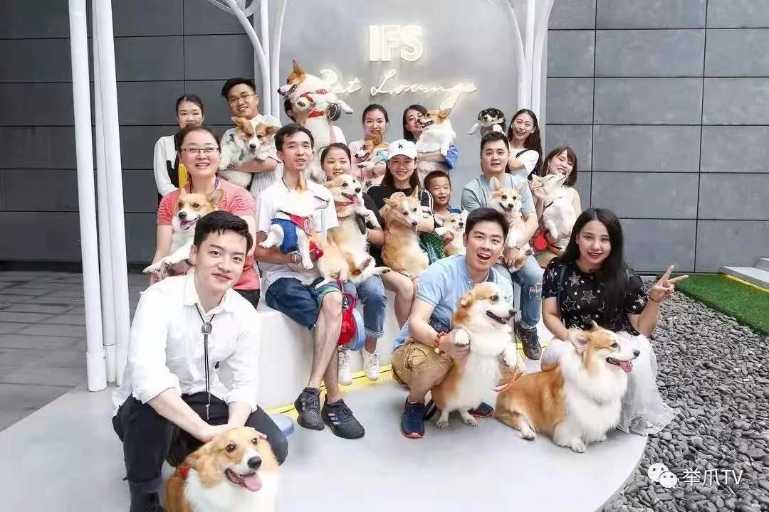 今年猫犬消费规模达到2024亿，紧扣社交需求的「举爪」让铲屎官“以狗会友”