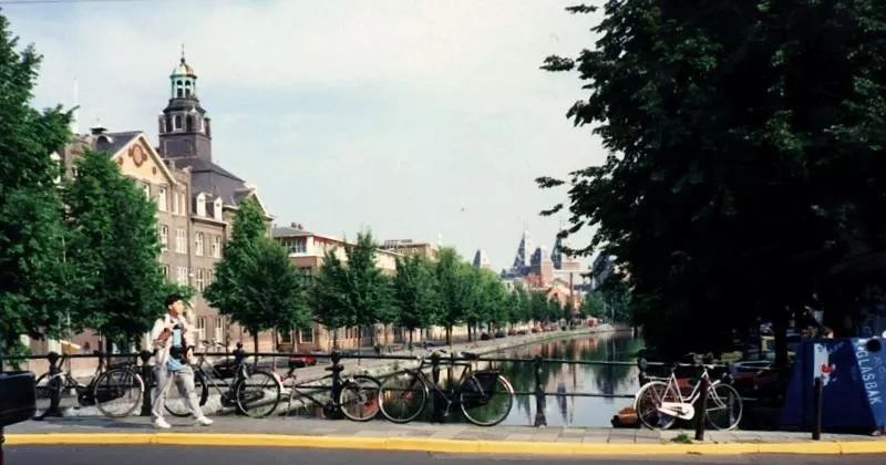 共享单车退潮，凤凰不再永久