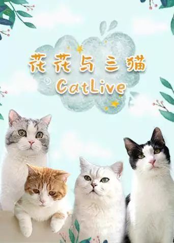 宠物博主背后的生意经