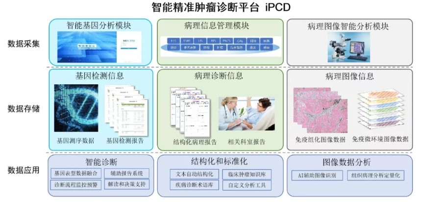 专注肿瘤病理诊断领域，「志诺维思」宣布获得六千万元 B 轮融资