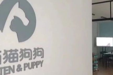一个月内第二次出手猫狗品牌，小米战投瞄准宠物经济赛道