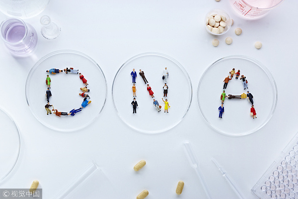 基于DNA和心理测量做行为分析，「各色DNA」说自己做的不只是「消费级基因检测」