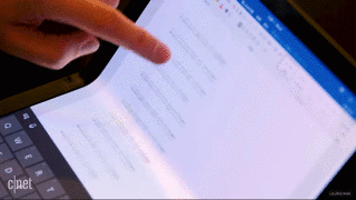 如何做一条有素质的狗？