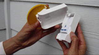 如何做一条有素质的狗？