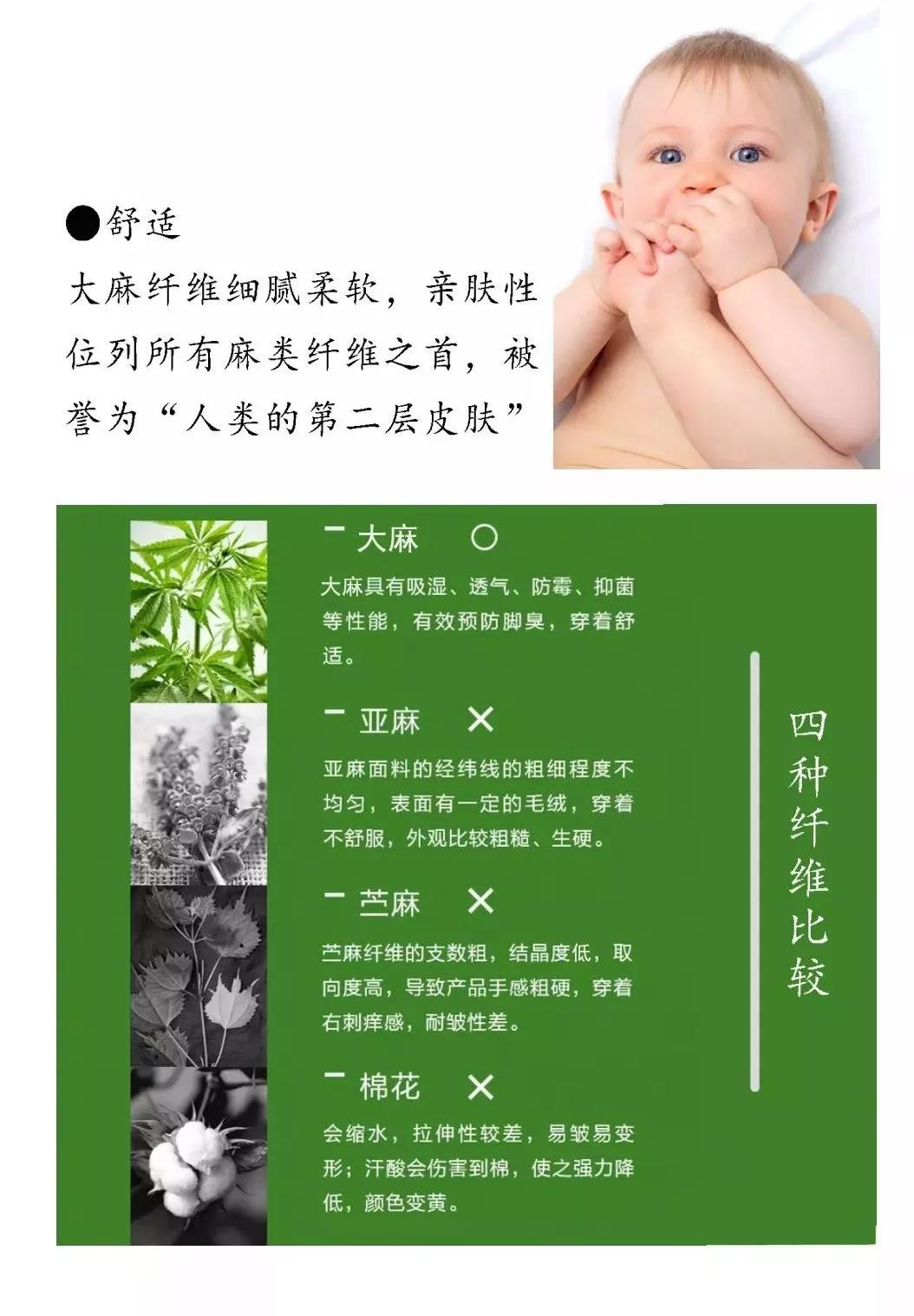 【南京眼】「工业大麻」的初心：在热潮退却之后