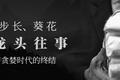 中药龙头往事：一个蛮荒与贪婪时代的终结