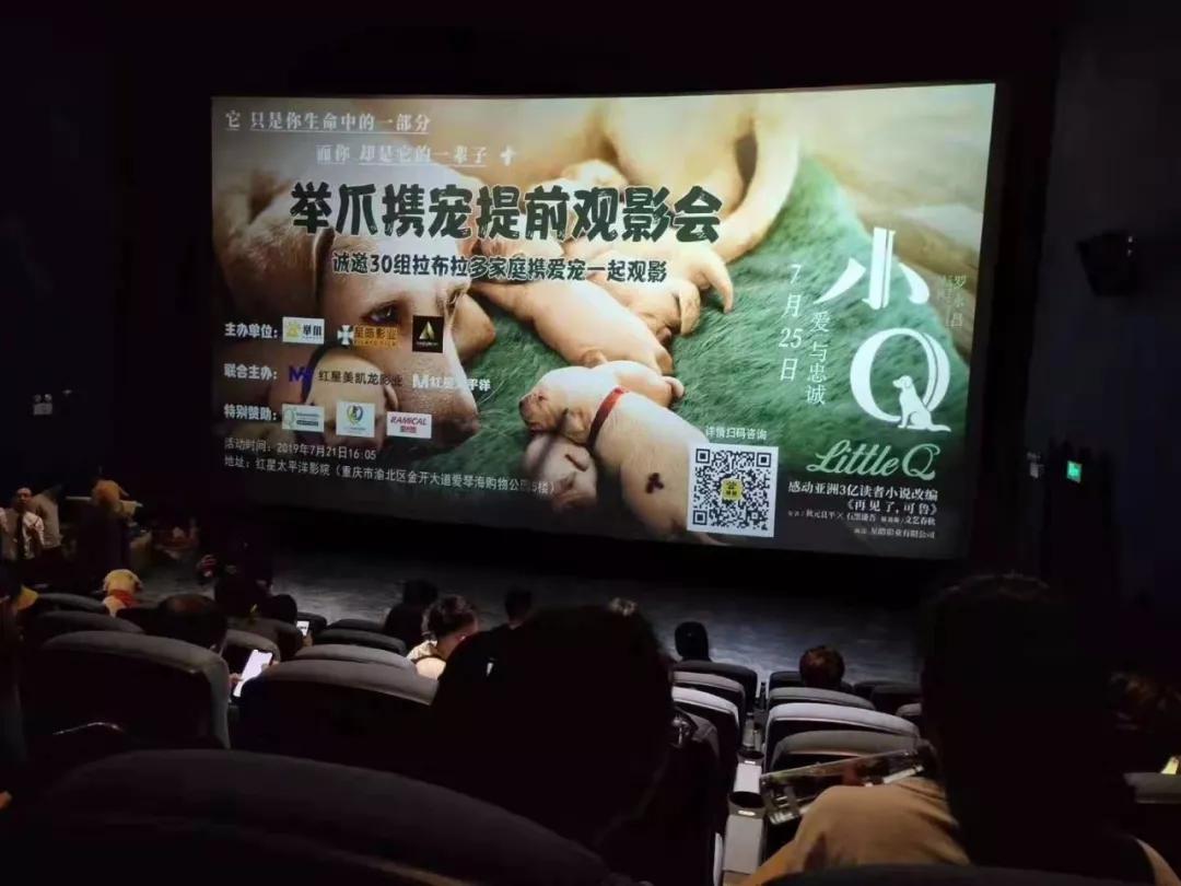 今年猫犬消费规模达到2024亿，紧扣社交需求的「举爪」让铲屎官“以狗会友”