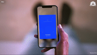 如何做一条有素质的狗？