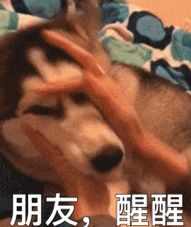 成功学的逻辑是，先拉低一小部分人成功的概率