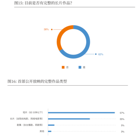 2019-2020中国导演生态调查报告