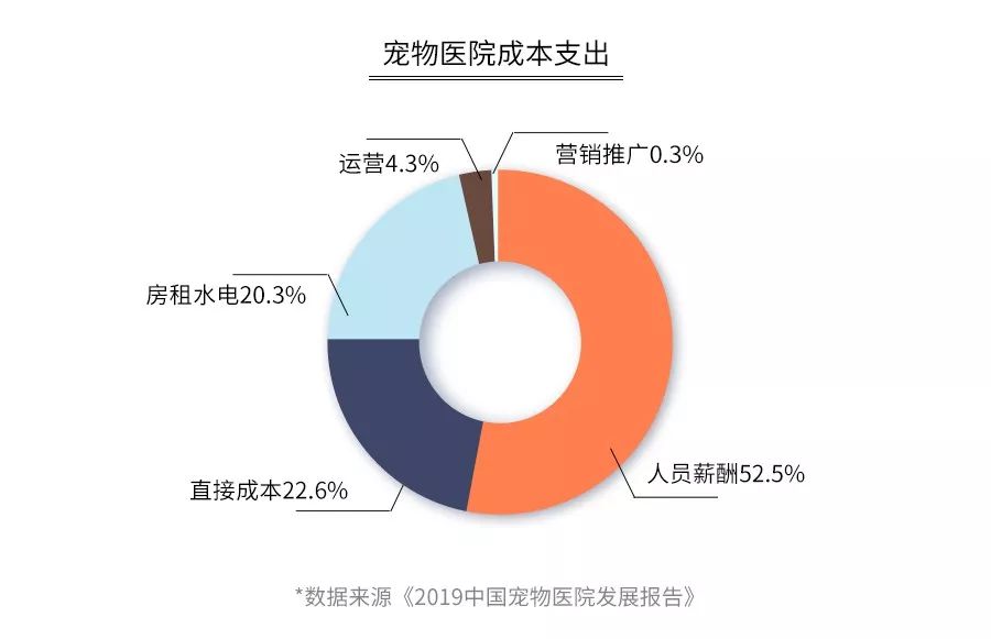 看一次病几千块，曾经“躺赚”的宠物医院，为什么现在难赚钱？