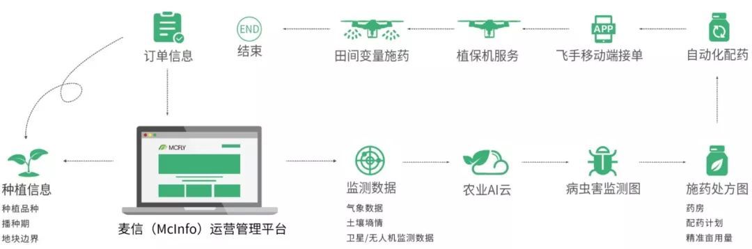 36氪专访 | 麦飞科技创始人：聚焦智慧农业大数据，想给每一块农田建立档案