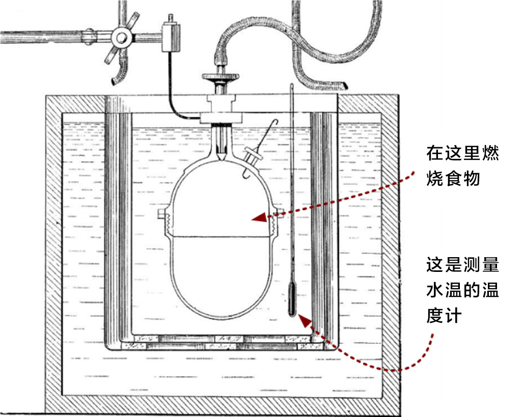 卡路里神话 减不往下掉的肥料是热量计算方法的错 标大爷