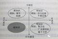 复杂问题该用理性决策还是感性决策？| 思考方式的革命（1）