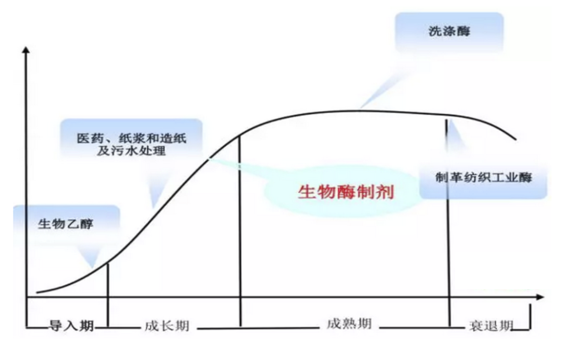 构建“酶”定向进化平台BioEngine，「酶赛生物」为客户定制酶催化解决方案