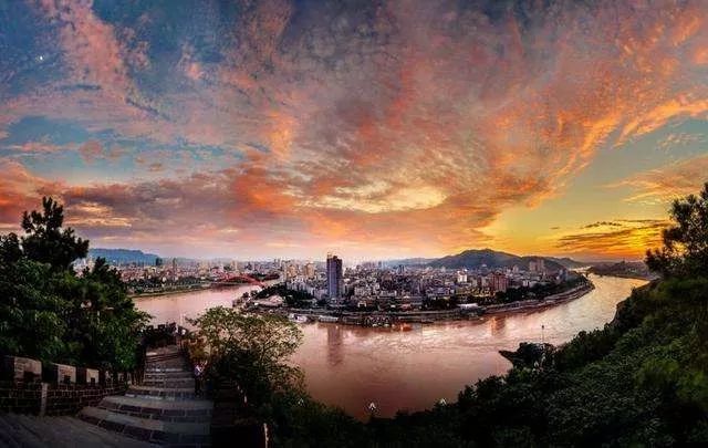 一个国产手机品牌的非典型衰落